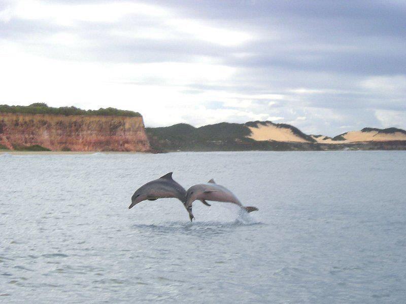 Pousada Da Pipa Praia de Pipa Exteriör bild